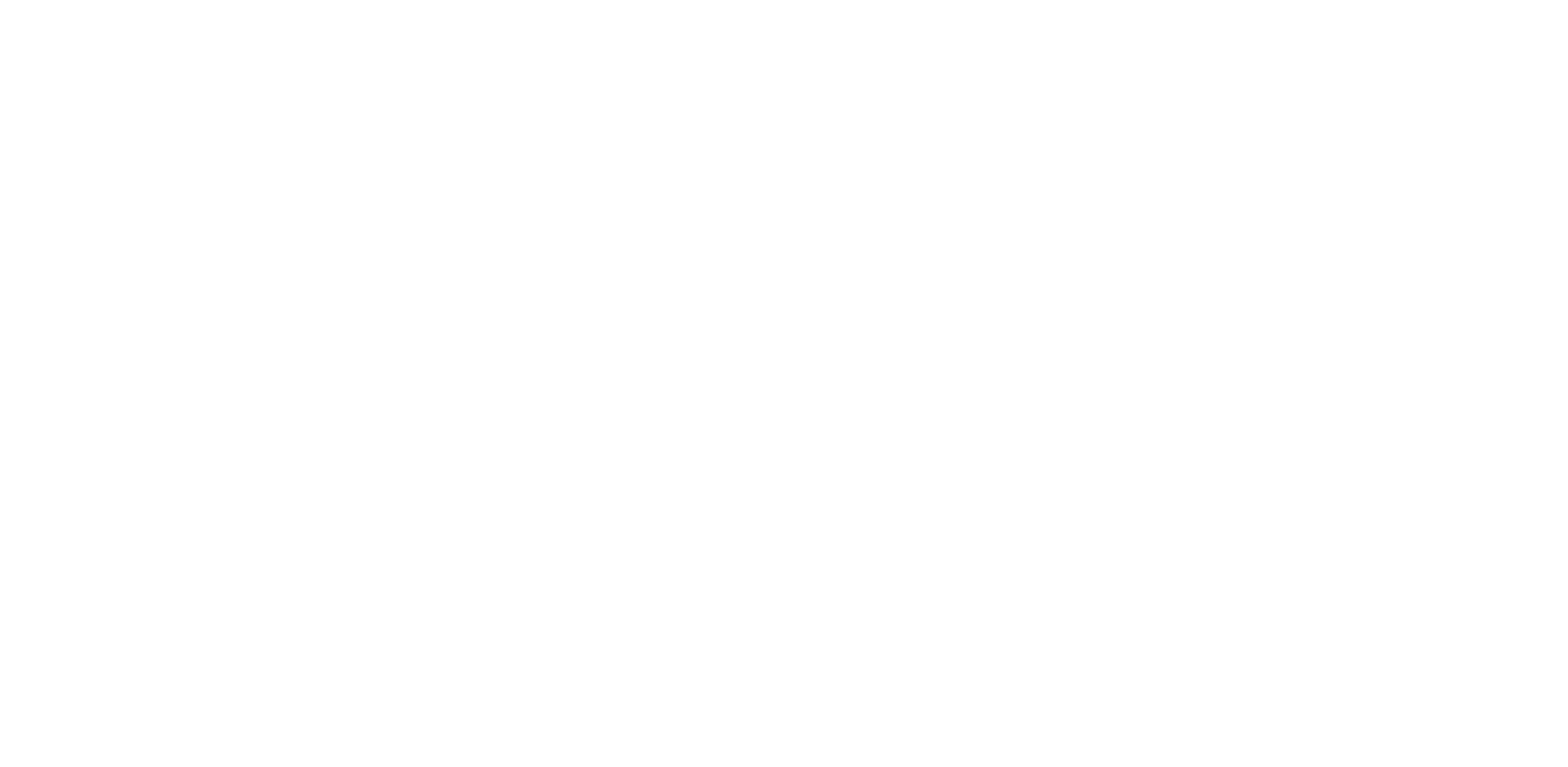Max Solution Logo